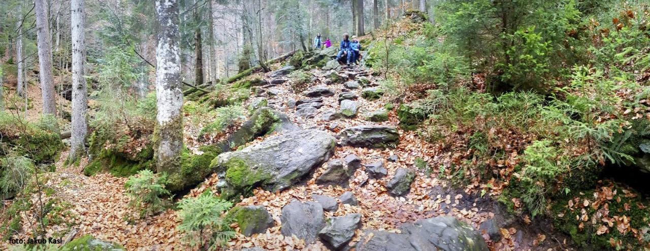 Pension Aspen Železná Ruda エクステリア 写真