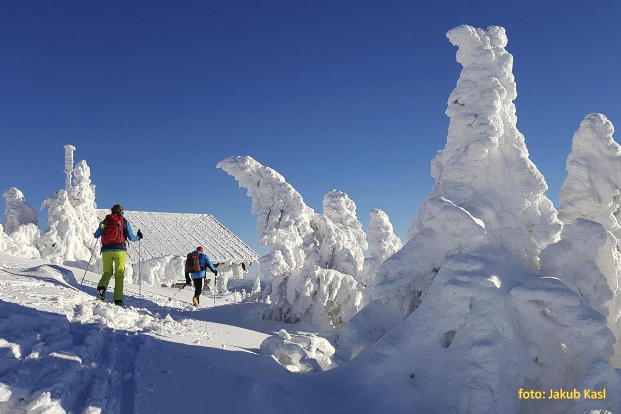 Pension Aspen Železná Ruda エクステリア 写真