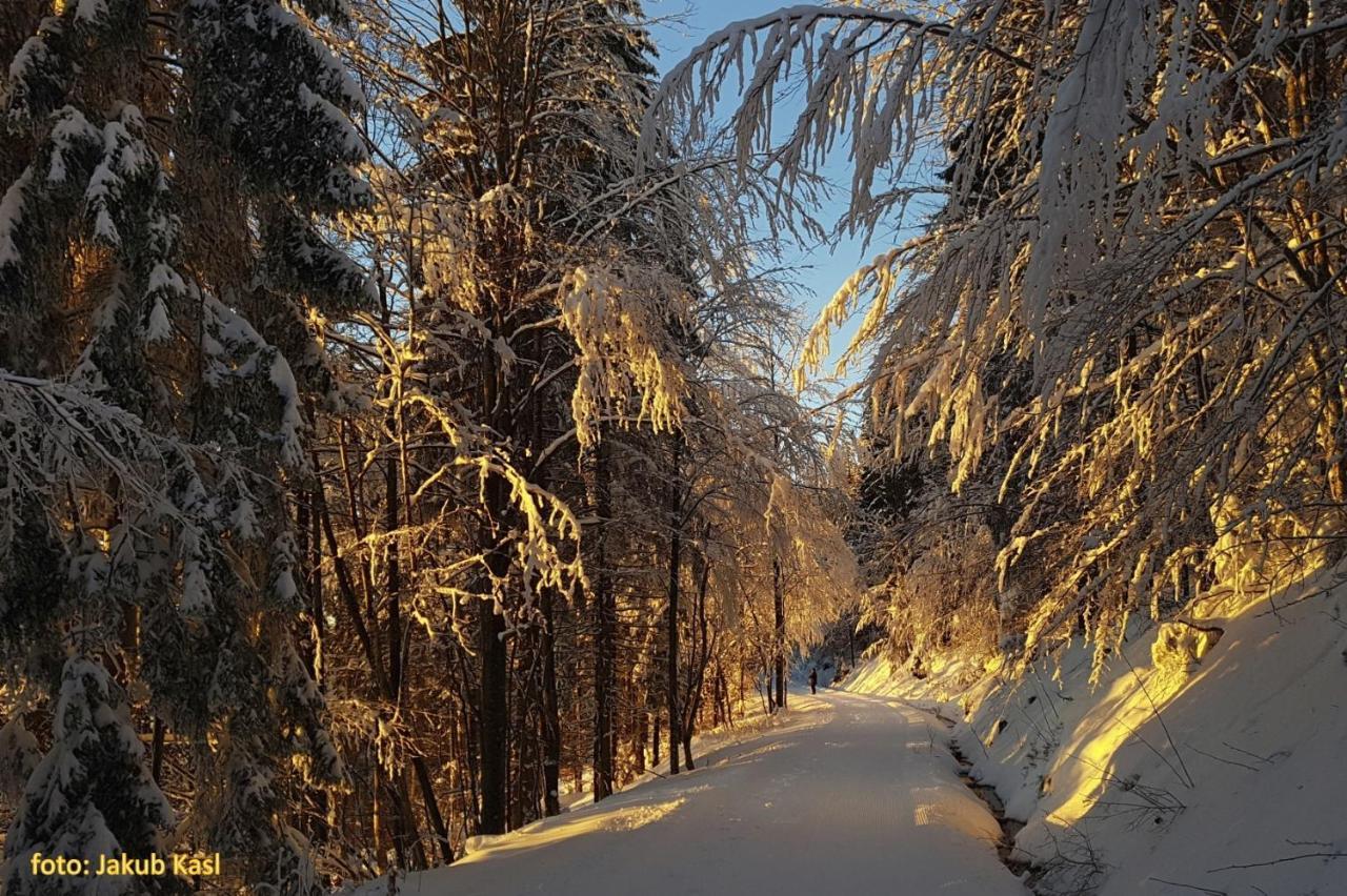 Pension Aspen Železná Ruda エクステリア 写真