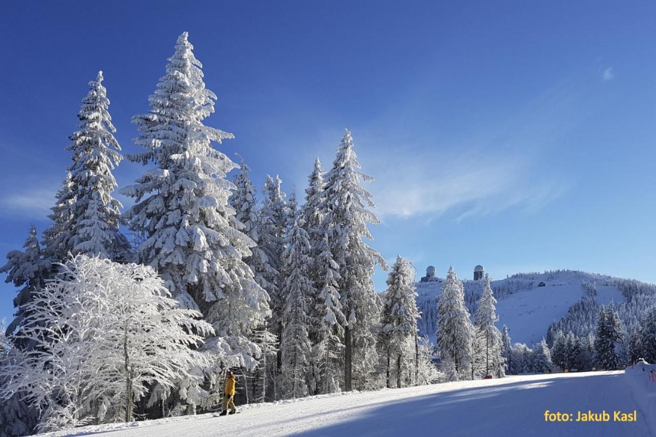 Pension Aspen Železná Ruda エクステリア 写真